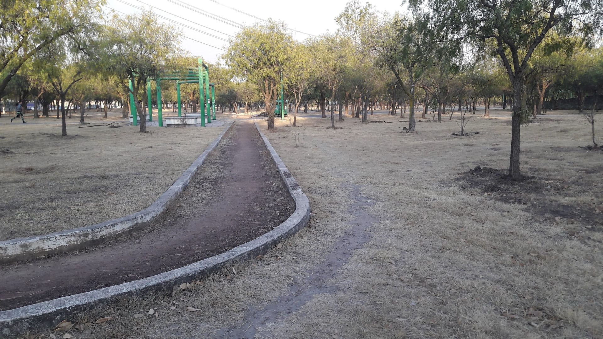 Un camino de tierra bordeado de concreto cruza un parque con árboles y áreas verdes en Cuautitlán Izcalli.