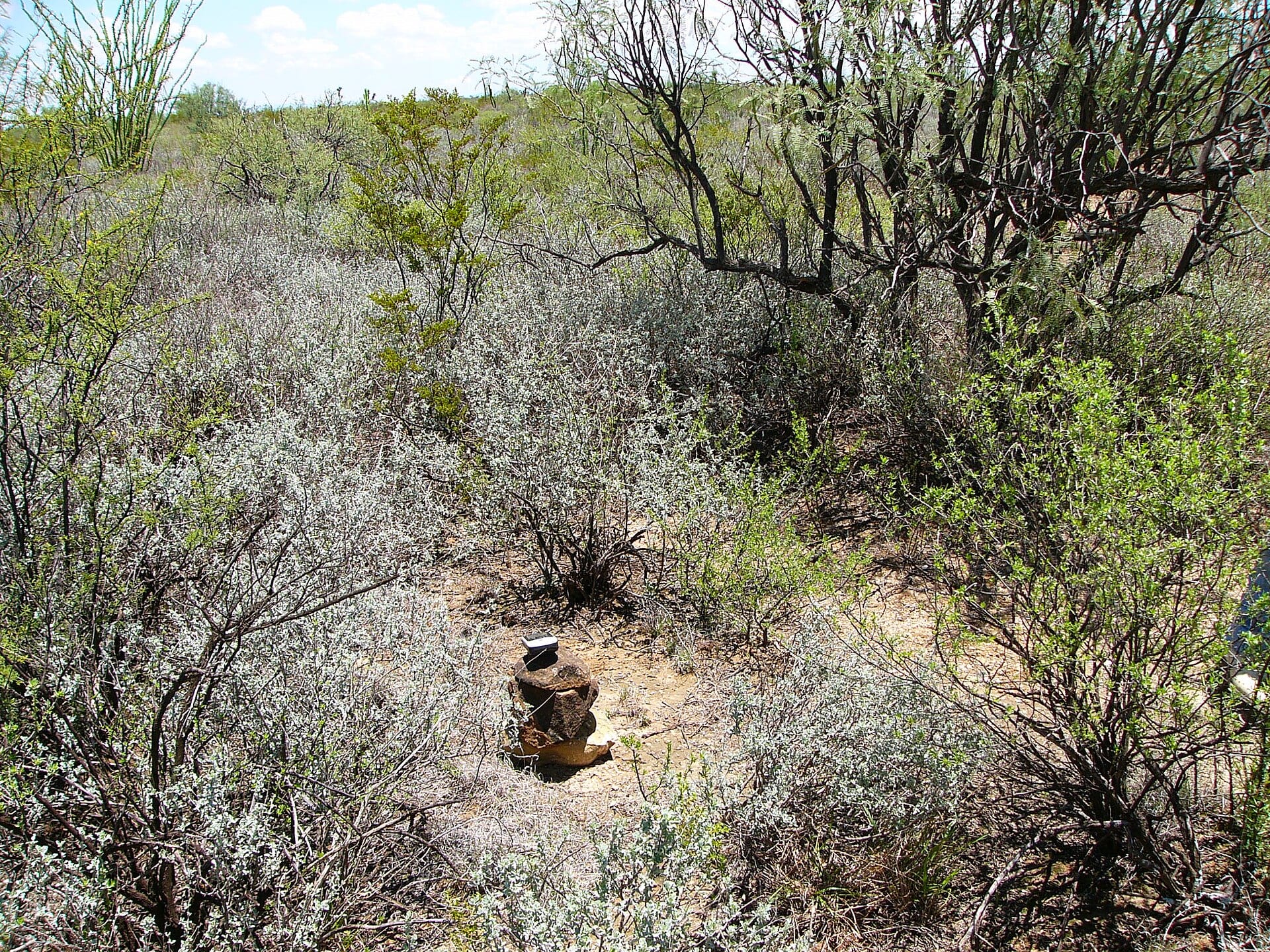 Un promontorio de piedras con un marcador GPS en un paraje de matorral desértico, rodeado de arbustos y árboles bajos.