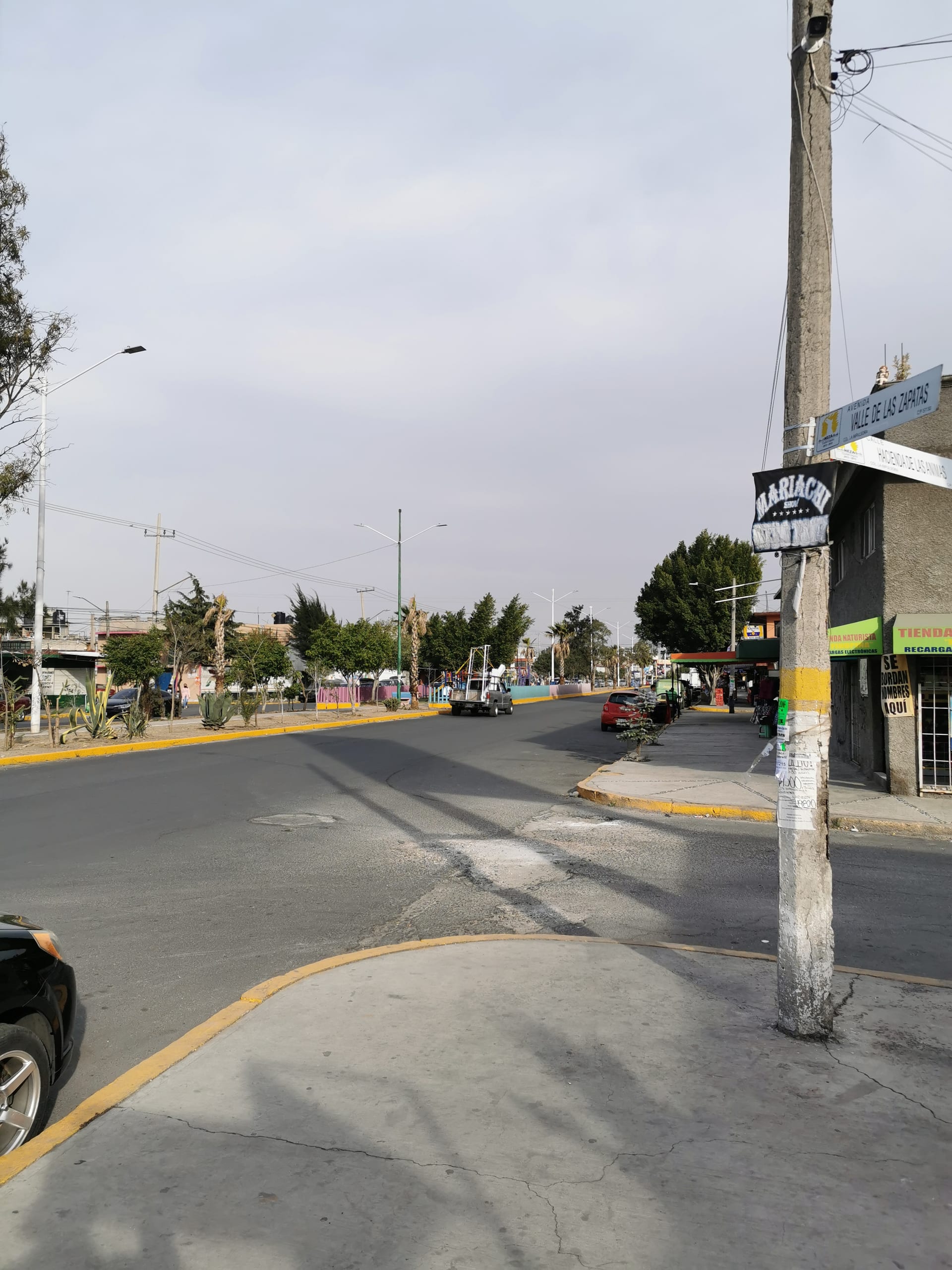 Una avenida residencial con casas de uno y dos pisos, banquetas angostas y cableado eléctrico aéreo, en un municipio del Estado de México.