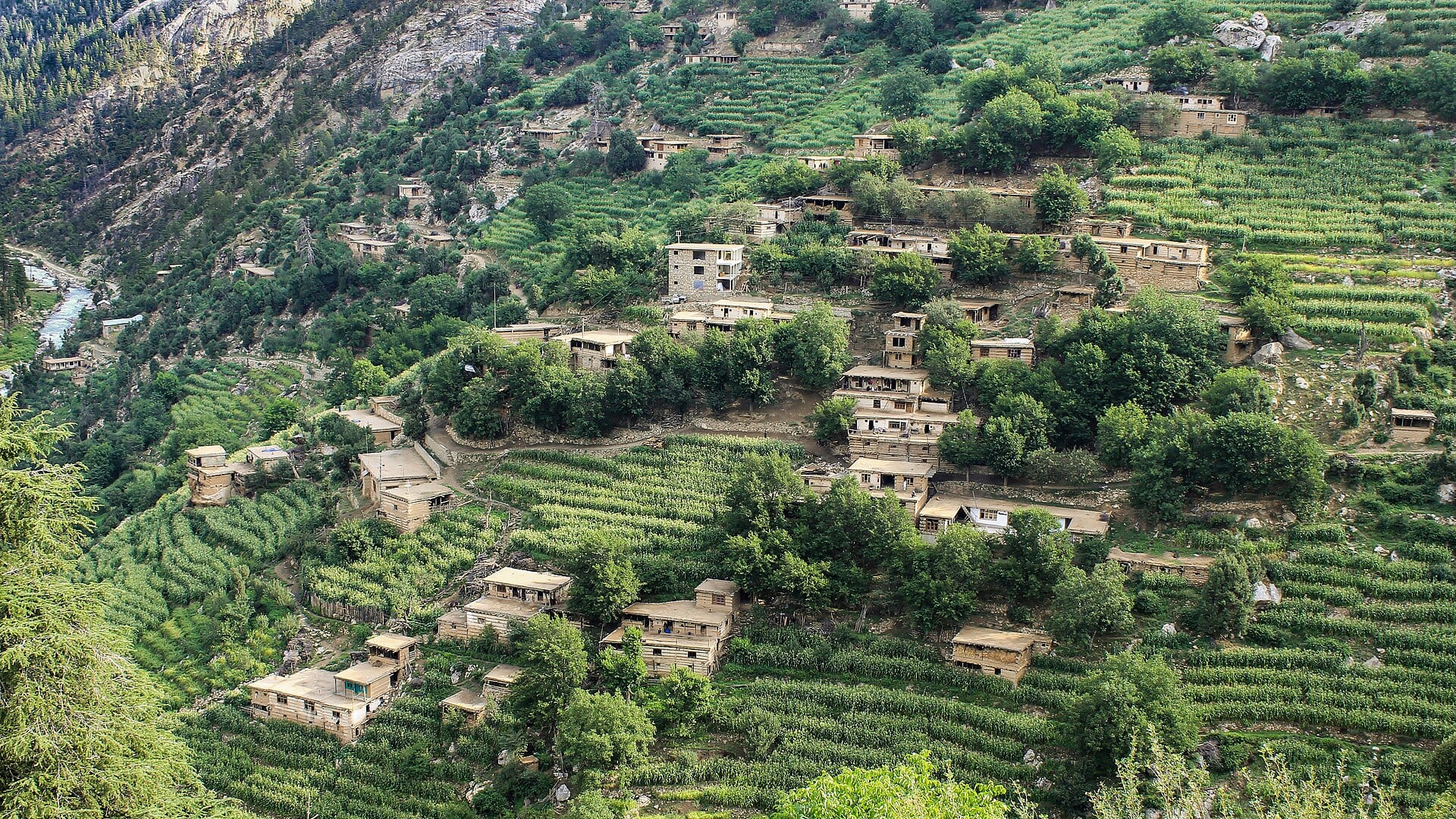 Casas de adobe y madera dispersas entre terrazas de cultivo en una ladera montañosa de Nuristán, Afganistán.